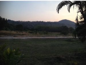 Land for sale 37 rai, located in U Thong, Suphan Buri