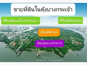 ให้บริการ ซื้อขายที่ดินในคุ้งบางกระเจ้า 0813036969  .