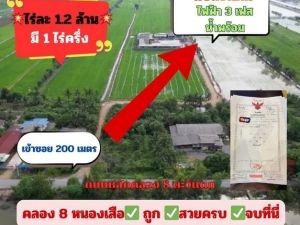 ขายที่ดิน คลอง8  ต.บึงชำอ้อ อ.คลองหลวง จ.ปทุมธานี   .