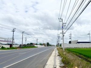 ขายที่ดิน ติดถนนใหญ่ 18 ไร่ ถ.ตลาดสดปองพล  .