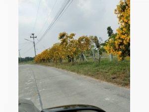 ขายที่ดิน อำเภอ อู่ทอง จังหวัด สุพรรณบุรี เนื้อที่ 3 ไร่ โฉนดครุฑ  .