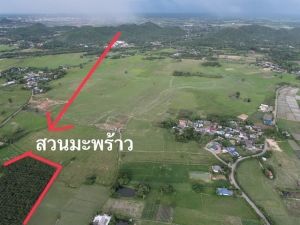 ขายที่ดิน 400 ไร่ ตำบลดอนแร่ อำเภอเมือง จังหวัดราชบุรี  .