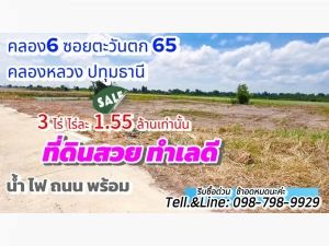 #ที่ดินคลอง6 (#ซอยคลองหกตะวันตก65) อ.คลองหลวง ปทุมธานี 3 ไร่  .