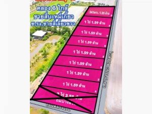  #ที่ดินคลอง 6(ใกล้ซอยคลองหกตะวันตก47) คลองหลวง ปทุมธานี  .