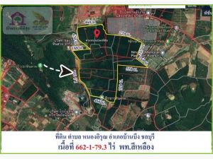 ขายที่ดินหนองไผ่แก้ว บ้านบึง เนื้้อที่ 662-1-79.3 ไร่  บ้านบึง ชล  .