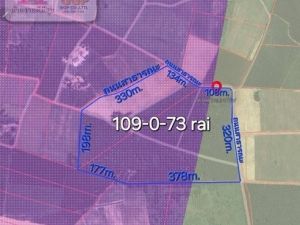 ขายที่ดินผังเมืองสีม่วงลาย เกาะจันทร์ เนื้อที่ 109 -0-73 ไร่  .