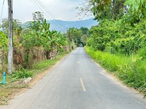 เปิดขายที่ดิน ใกล้เขื่อนขุนด่าน วิวเขาสวย นครนายก  .