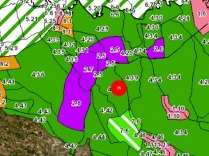 ขายที่ดินทางการเกษตร (สวนป่า) อ.ศรีมหาโพธิ 130-2-93.8 ไร่ (7 แสนบ  .