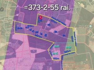ขายที่ดิน 373-2-55 ไร่ ผังสีม่วงลาย ท่าบุญมี อ.เกาะจันทร์ จ.ชลบุร  .