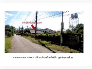 ขายที่ดิน  อำเภอเชียงแสน  จังหวัดเชียงราย  เนื้อที่ 50 ตร.ว.