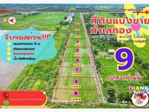 ขายที่ดิน คลอง 12 ซอยศาลาครุ 53 ตำบลศาลาครุ หนองเสือ จ.ปทุมธานี    .