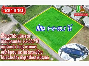 ขาย ที่ดิน ถมแล้ว แปลงสวย ติดถนนคอนกรีต ที่ดินถมแล้ว 1-3-56.7 ไร่, ถนนร่มเกล้า มีนบุรี 1 ไร่ 3 งาน 56.7 ตรว ใกล้ชุมชน อยู่ในโซนผังสีเหลือง