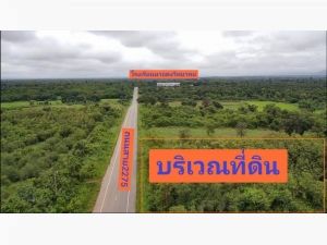 ขายที่ดินพร้อมไม้สักทอง 13 ปี อำเภอหล่มสัก จังหวัดเพชรบูรณ์   .