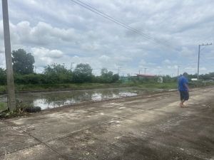 ขายที่ดิน คลอง11 อำเภอหนองเสือ  จังหวัดปทุมธานี   .