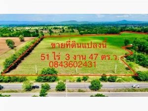 ขายที่ดินติดถนนหลัก บึงสามพัน เพชรบูรณ์ ท่าข้าว ต.พืชผล  .