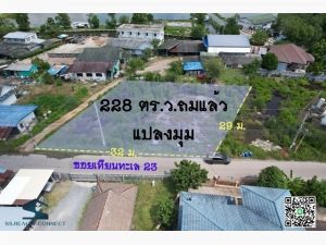 ขายที่ดิน 228 ตร.ว.เทียนทะเล 23 สาธารณูปโภคครบ! คลิกดูรายละเอียดเ  .