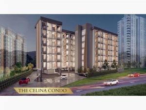 The Celina Condo คอนโดกลางเมือง วิวหลักล้าน ทำเลดี   .