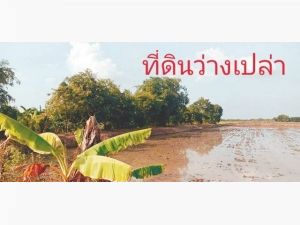 ลมหนาวพาซื้อทรัพย์ดีมีคุณค่า  ที่ดิน แบ่งขาย ลาดหลุมแก้ว   .