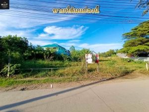 ขายที่ดินเนื้อที่ 1-1-45 ไร่ ซ.วัดบางเตยใน อ.สามโคก จ.ปทุมธานี เหมาะสร้างบ้าน: PR_aa00000501054: PR_aa00000501054