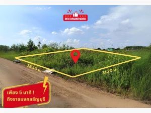 ขาย ที่ดินคลอง 6 ถึงราชมงคลธัญบุรี เพียง 5 นาที เนื้อที่ 150 ตร.ว  .