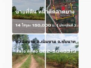 ขายที่ดิน/หน้าติดลาดยาง/หน้ากว้าง/ราคาประเมินดี มีบ่อพักน้ำ