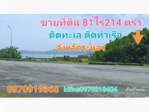 ขาย ที่ดิน ติดทะเล ติดท่าเรือ 81 ไร่ 214 ตร.วา จังหวัดระนอง: aa00000528145