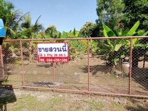 ขายที่ดินใกล้อนามัยบ้านร่องย้าง ตำบลลอ อำเภอจุน จังหวัดพะเยา   .