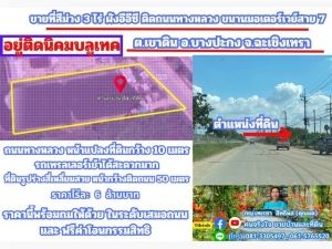 ขายที่สีม่วง 3 ไร่ ผังอีอีซี รถเทรลเลอร์เข้าได้ อ.บางปะกง จ.ฉะเชิ  .