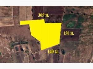 ที่ดินเปล่า 24-2-41.7 ไร่ แปลงใหญ่ ใกล้ถนนชัยภูมิ-สีคิ้ว  .