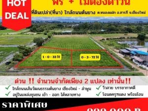 ที่ดินแปลงมุมวิวท้องนา+ภูเขา สารภี เชียงใหม่