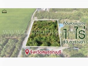 ที่ดินสวนมะม่วง โพธิ์พระยา เมืองสุพรรณบุรี ใกล้ตัวเมือง  .