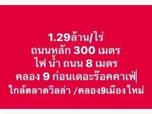 ที่ดินทำเลดี แหล่งชุมชน ใกล้ตลาด คลอง8-9  น้ำไฟพร้อม 1ไร่ 1.29ล้า  .