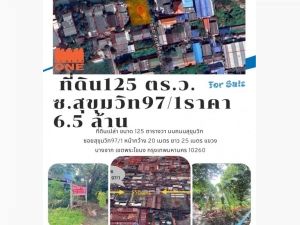 ที่ดินเปล่า 125 ตารางวา บนถนนสุขุมวิท ในซอยสุขุมวิท 97/1  .