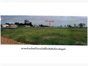 ขายที่ดิน อำเภอตะพานหิน  จังหวัดพิจิตร   ไร่ 3 งาน 47 ตร.ว  .