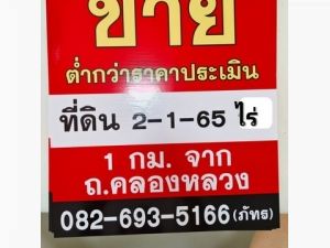 ขายที่ดิน ที่ดิน ซ.คลองสี่ 2 ห่าง ถ.คลองหลวง 1 กม.  .