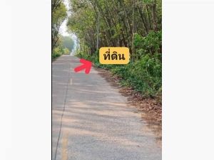 ขายที่ดินผังม่วงศรีราขาชลบุรี 38-1- 49ไร่.