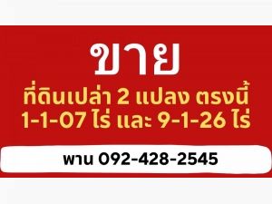 ขายที่ดินเปล่า 2 แปลงติดกัน อำเภอวังน้อย จ.อยุธยา   .