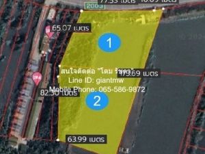 ขายที่ดิน ติดถนน+ติดทะเลอ่าวไทย สมุทรสงคราม 7-1-83.4 ไร่   .