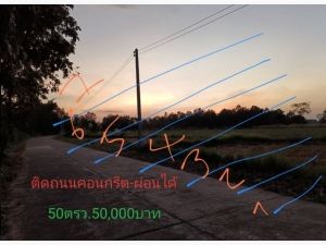 ขายที่ดินทำบ้านราคาถกๆ ขนาด50ตรว.