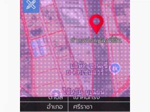 ขายที่ดินเขาคันทรงศรีราชา​ ????ผังม่วงลาย.