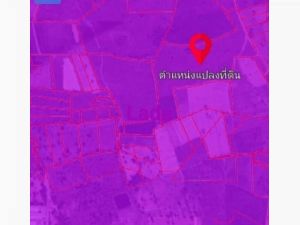 ขายที่ดินผังม่วงเข้มปราจีนบุรี​.