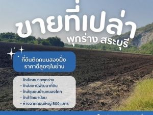 ขายที่ดินเปล่าสระบุรี ติดถนนสองฝั่ง เนื้อที่ 43 ไร่ โฉนดปลอดภาระ  .