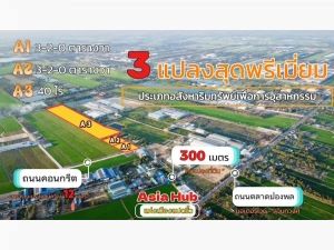 ขายที่ดินถมแล้ว 40 ไร่ อ.เมือง ฉะเชิงเทรา เขต EEC ผังที่ดินม่วง  .