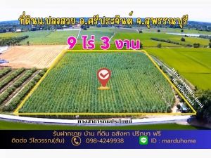 ขาย ที่ดิน ต.ดอนปรู อ.ศรีประจันต์ จ.สุพรรณบุรี NO 9 ไร่ 3 งาน 5 ตรว ทำเกษตรในยามเกษียณ: aa00000523538