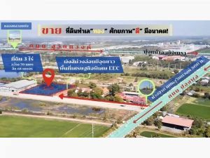 ขายที่ดิน แปลงสวย ทำเลทองในพื้นที่เศรษฐกิจพิเศษ EEC ปองพล คลองอุดมชลจร ฉะเชิงเทรา