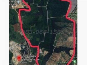 Yellow land for sale, area 1,114 rai, Nong Irun, Ban Bueng, Chonb  .