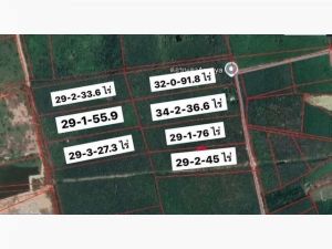 ขายที่ดินแปลงใหญ่ 7 โฉนด ผังเมืองสีม่วงลาย กะเฉด เมืองระยอง  .