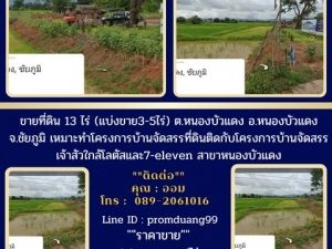 ขายที่ดิน13ไร่โฉนด(แบ่งขาย3-5ไร่) จ.ชัยภูมิ  .