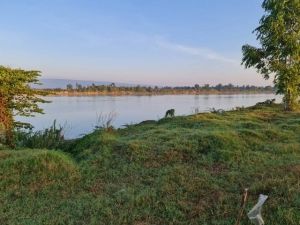 บ้านที่ดินทำเลที่ตั้งเยี่ยม  ขายที่ติดน้ำโขง ต.กุดบง โพนพิสัย หนอ  .