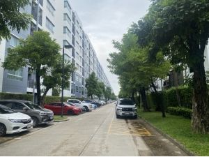 ขาย คอนโด D Condo รัตนาธิเบศร์ D condo Rattanathibet 28.84  ตรม: aa00000596454